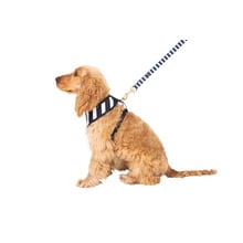 Hamptons Stripe Dog Harness